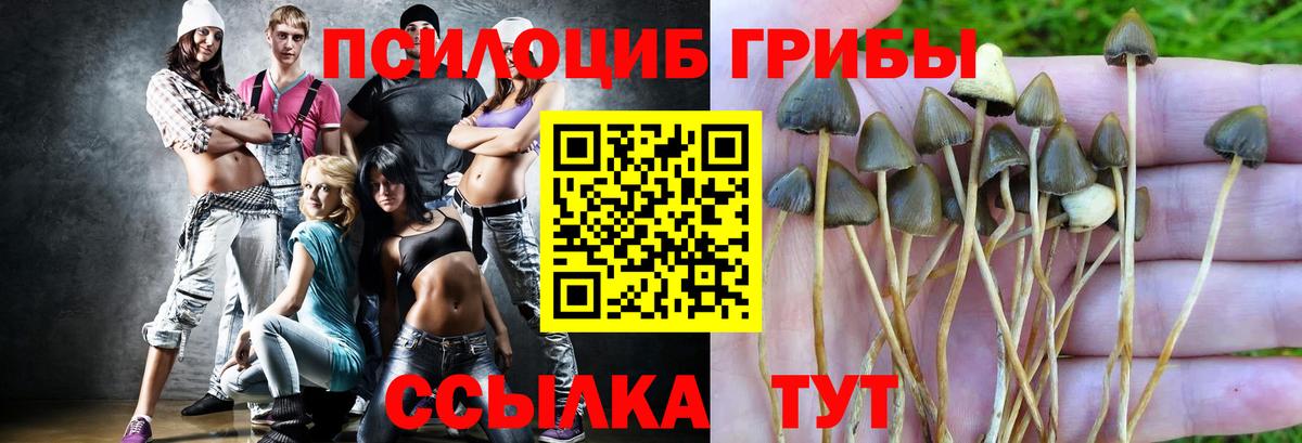 Псилоцибиновые грибы GOLDEN TEACHER  цены наркотик  Новотроицк  Вход с VPN 