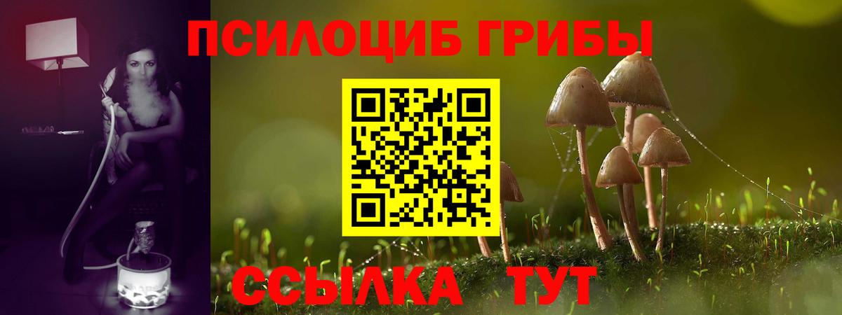 Галлюциногенные грибы мухоморы Новотроицк